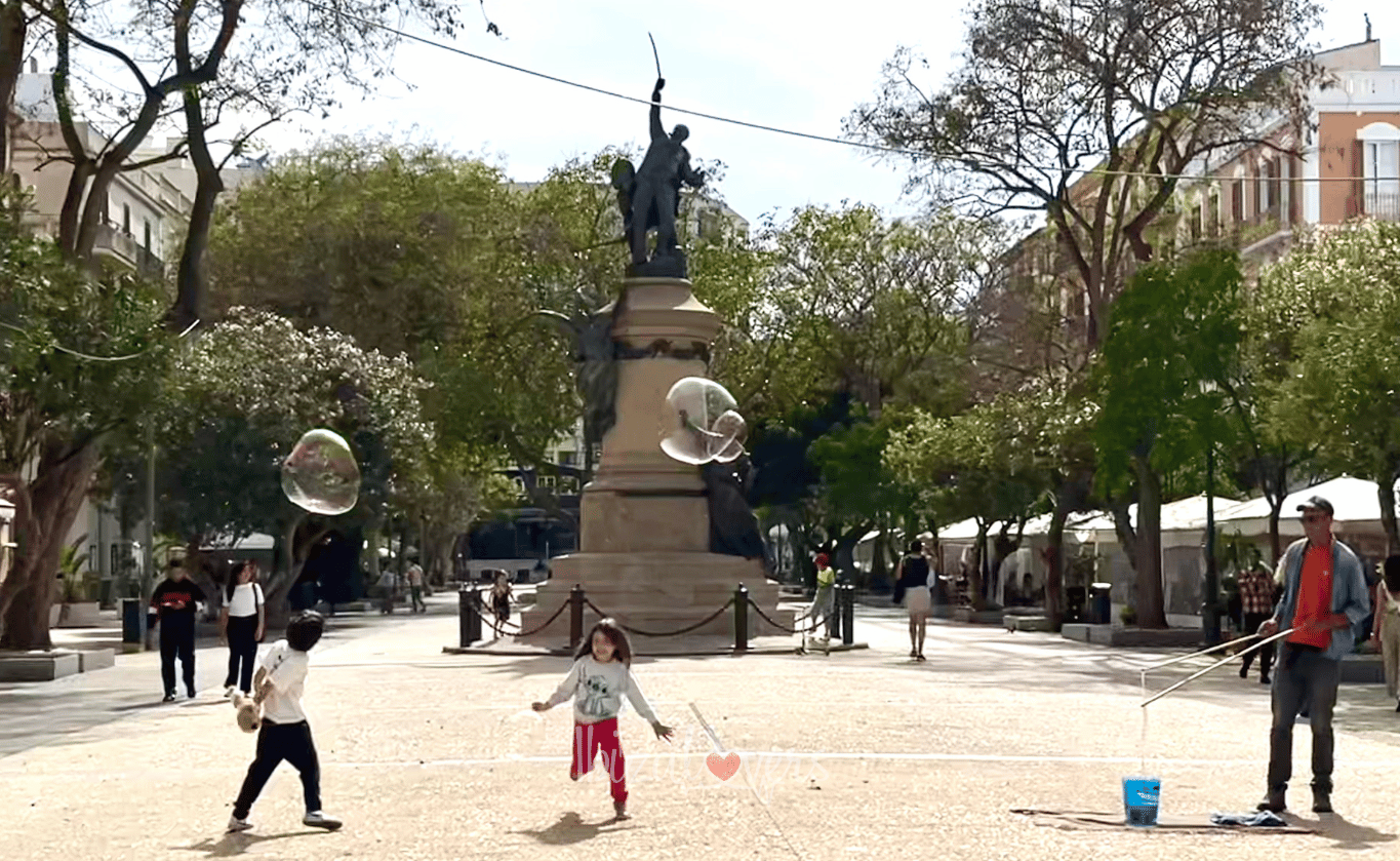 paseo vara de rey