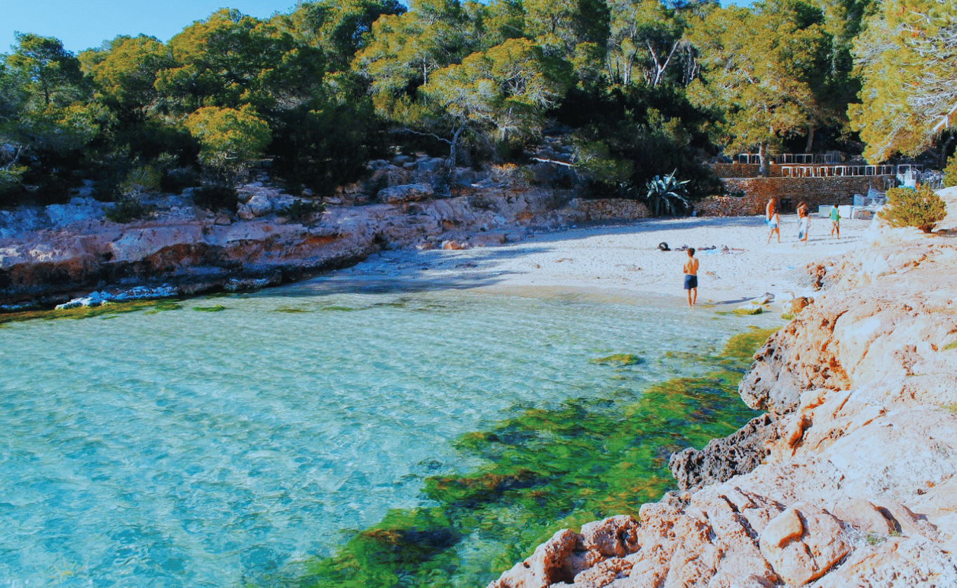 Cala Gracioneta Playa Ibiza