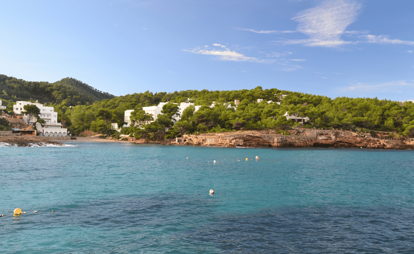 portinatx ibiza