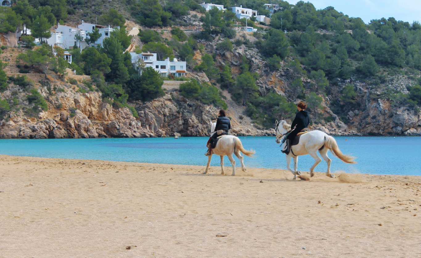 Cala San Vicente Ibiza