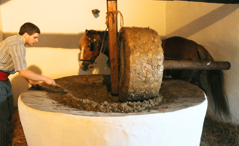 aceite almazara trull ibiza