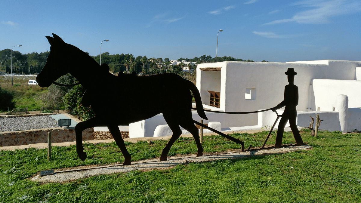 Mercado ecologico ibiza