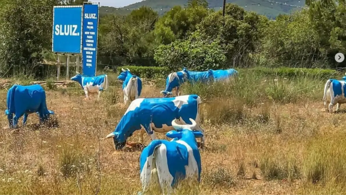 sluiz ibiza